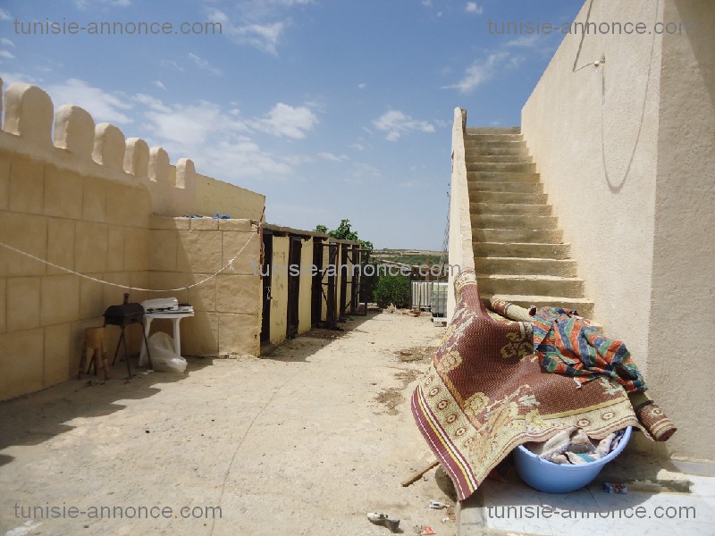 Kalaa Essghira&nbsp;Kalaa Essghira&nbsp;Terrain&nbsp;Terrain agricole&nbsp;Terrain  agricole kalaa essghira