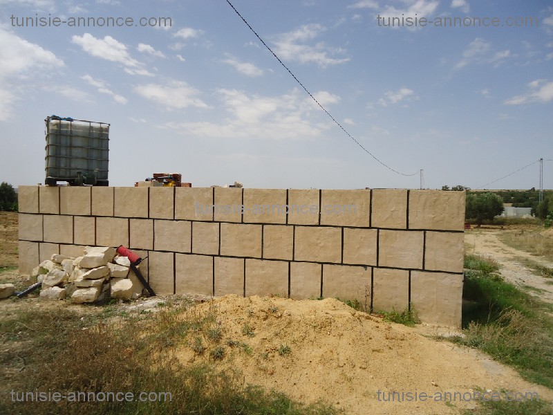 Kalaa Essghira&nbsp;Kalaa Essghira&nbsp;Terrain&nbsp;Terrain agricole&nbsp;Terrain  agricole kalaa essghira