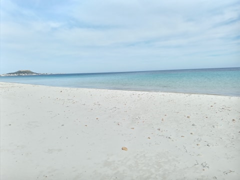 Location Appart. 4 pices