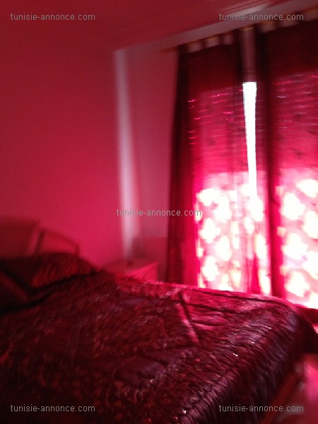 Ain Zaghouan&nbsp;Ain Zaghouan&nbsp;Location&nbsp;Appart. 2 pi�ces&nbsp;Apt de luxe meubl� par jour