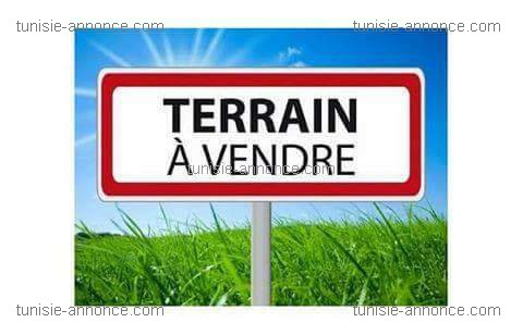Vente Maisons