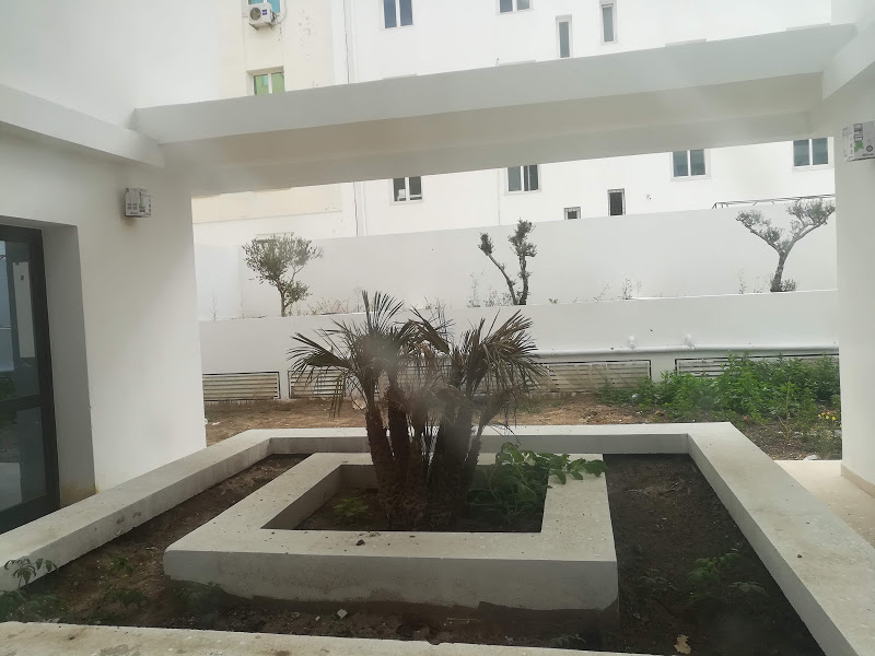 Cite El Khadra Zone urbaine nord Bureaux & Commerces Bureau Immeuble neuf haut standing au cun