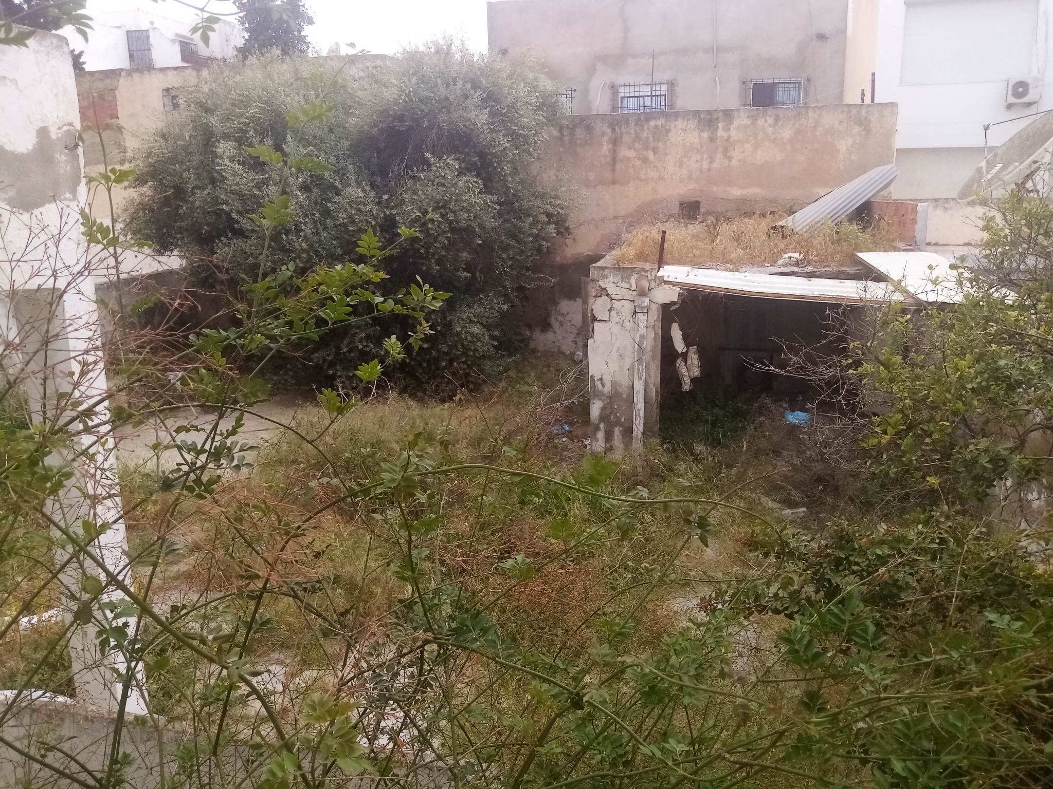 Terrain&nbsp;Terrain nu