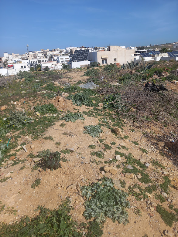 El Menzah&nbsp;El Menzah 9&nbsp;Terrain&nbsp;Terrain nu&nbsp;Terrain menzah 9 c