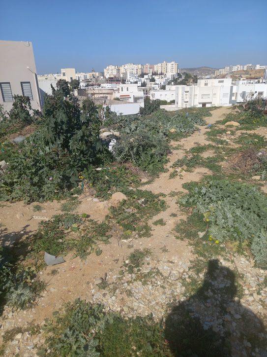 El Menzah&nbsp;El Menzah 9&nbsp;Terrain&nbsp;Terrain nu&nbsp;Terrain menzah 9 c