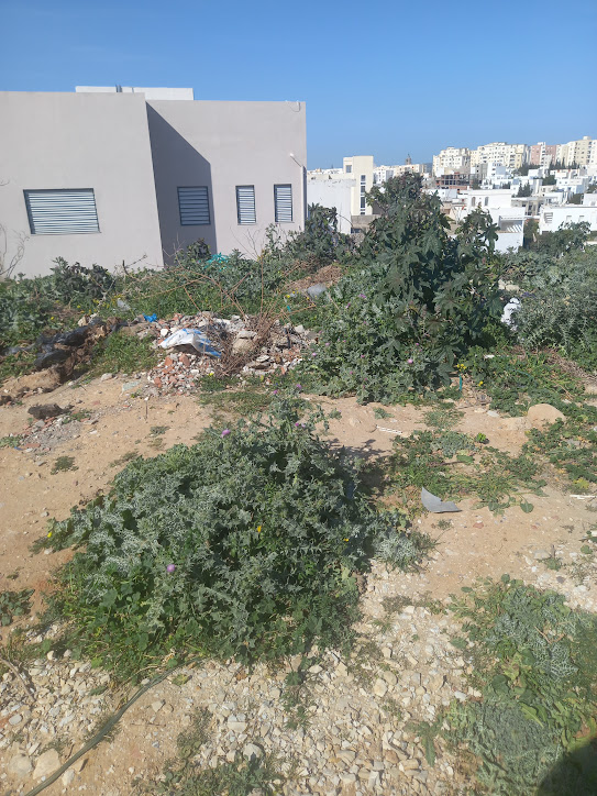 El Menzah&nbsp;El Menzah 9&nbsp;Terrain&nbsp;Terrain nu&nbsp;Terrain menzah 9 c