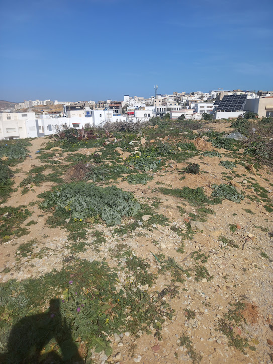 El Menzah&nbsp;El Menzah 9&nbsp;Terrain&nbsp;Terrain nu&nbsp;Terrain menzah 9 c