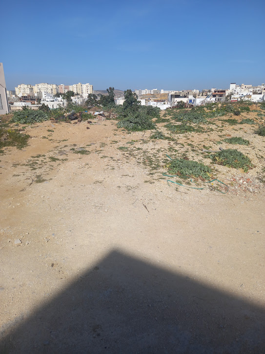 Terrain&nbsp;Terrain nu