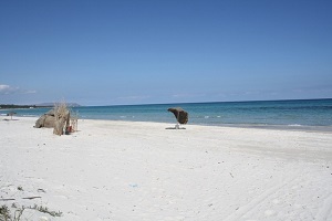 Hammam Lif Hammam Lif Terrain Terrain nu Gps  terrain nu pour espace vacances