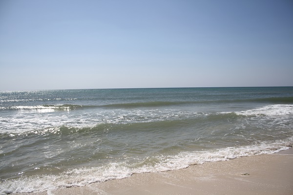 Hammam Chatt&nbsp;Borj Cedria&nbsp;Terrain&nbsp;Terrain nu&nbsp;Gps  terrain nu cot� plage hotel caraeban