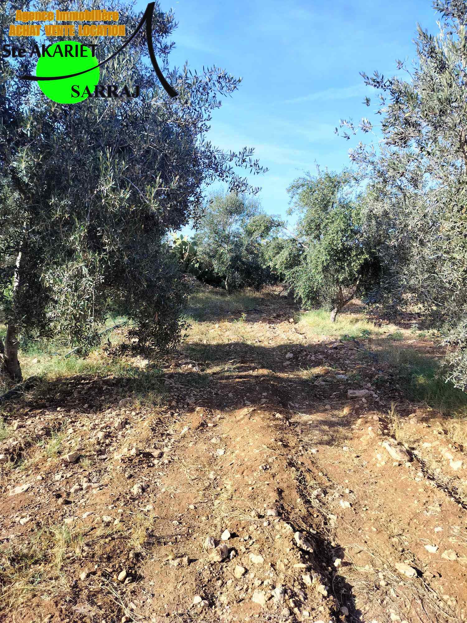 Terrain Terrain agricole