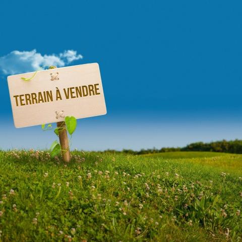 Terrain Terrain agricole