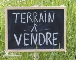 Terrain Terrain agricole