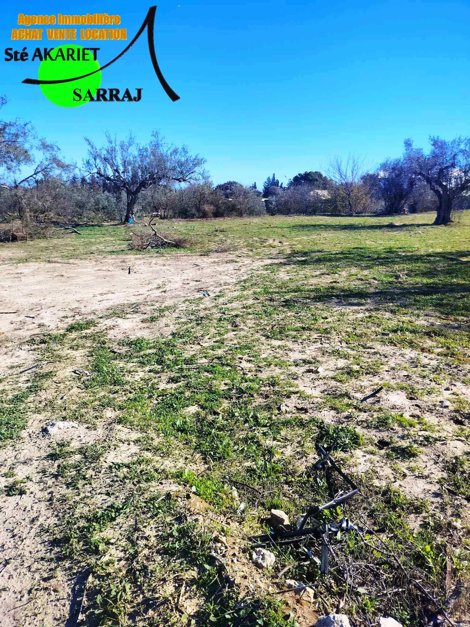 Akouda Chatt Meriem Terrain Terrain agricole Terrain titr 1094m vue de mer  tantana