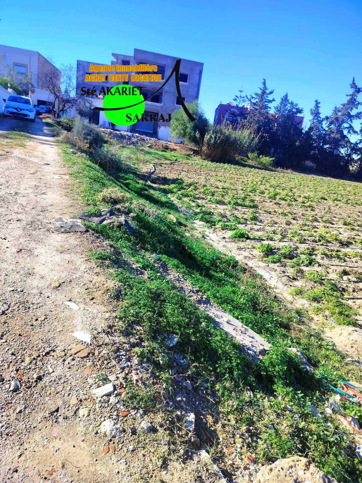 Akouda Chatt Meriem Terrain Terrain agricole Terrain titr 1094m vue de mer  tantana