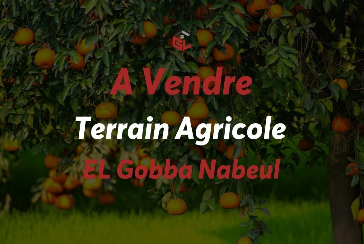 Menzel Temime El Gobba Terrain Terrain agricole Terrain agricole  el gobba nabeul