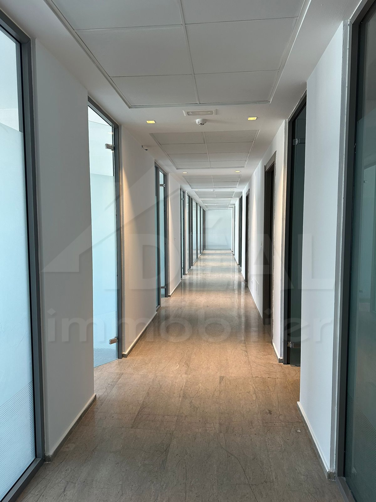 La Marsa Berge Du Lac Bureaux & Commerces Bureau Al bureau de 333m2 au lac2