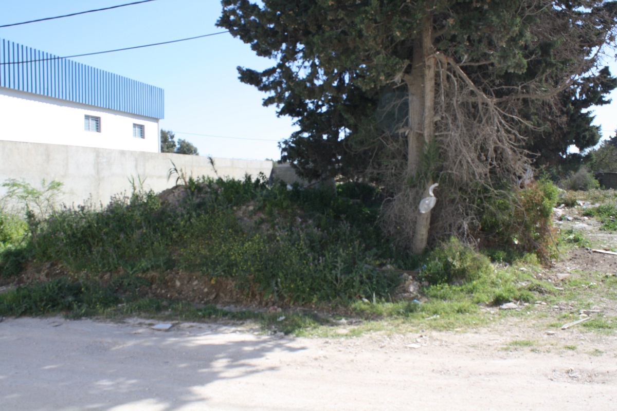 Soliman&nbsp;Soliman&nbsp;Terrain&nbsp;Terrain nu&nbsp;Gps  terrain nu pour d�p�ts ou batiment