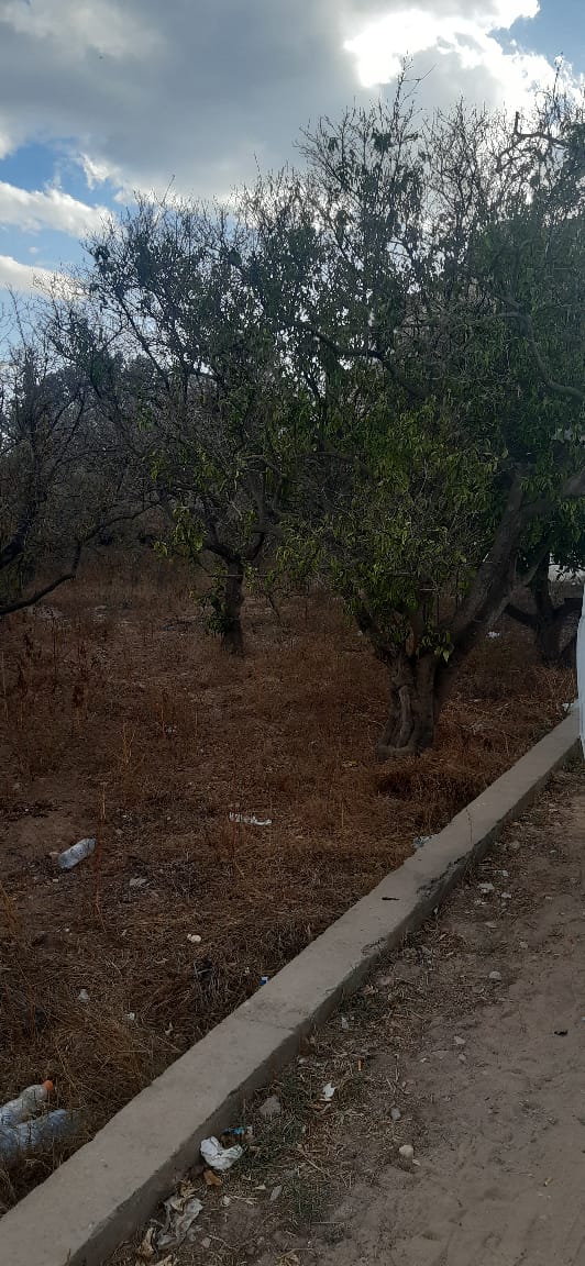 Hammamet Hammamet Terrain Terrain nu Opportunit rare