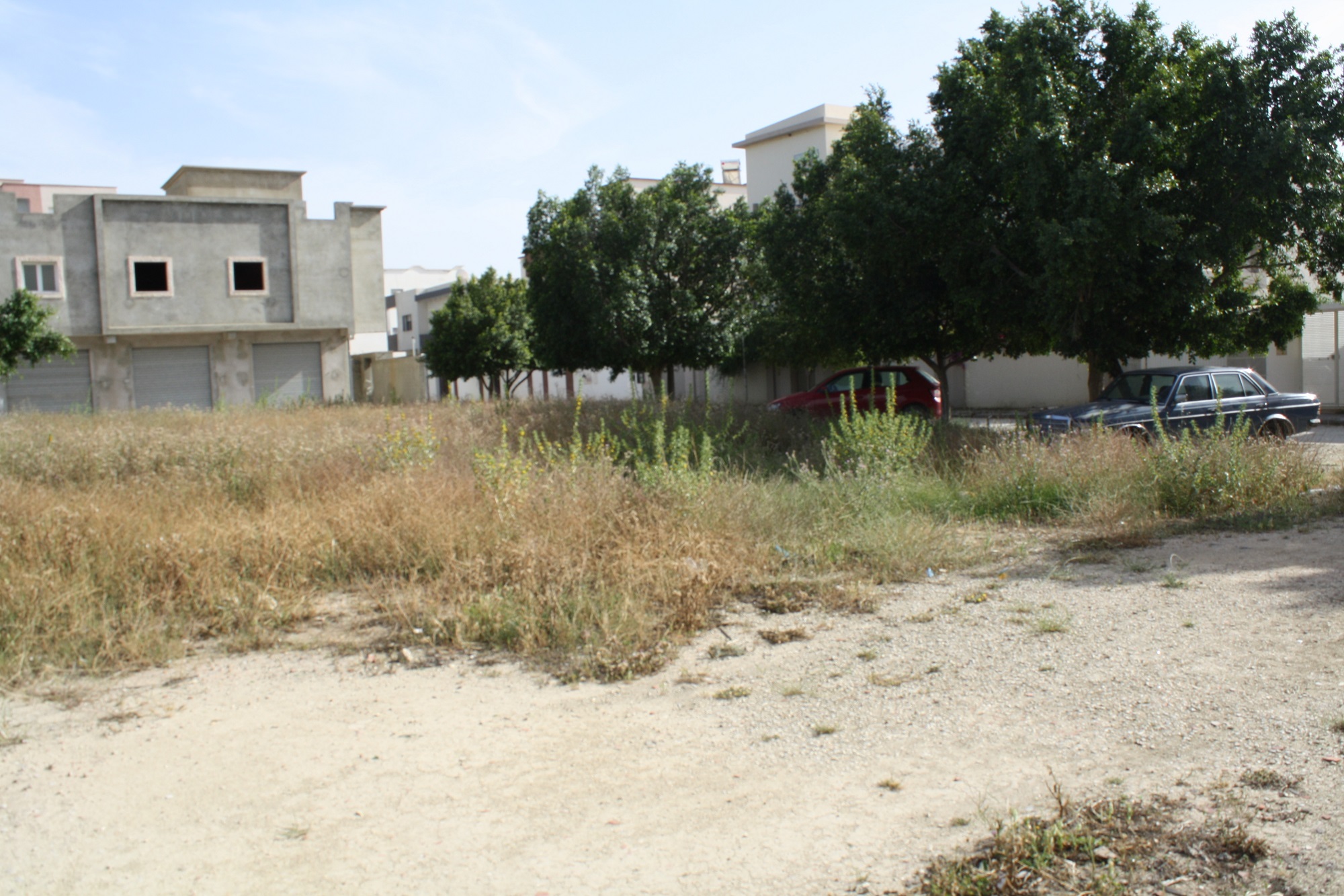 Terrain&nbsp;Terrain nu