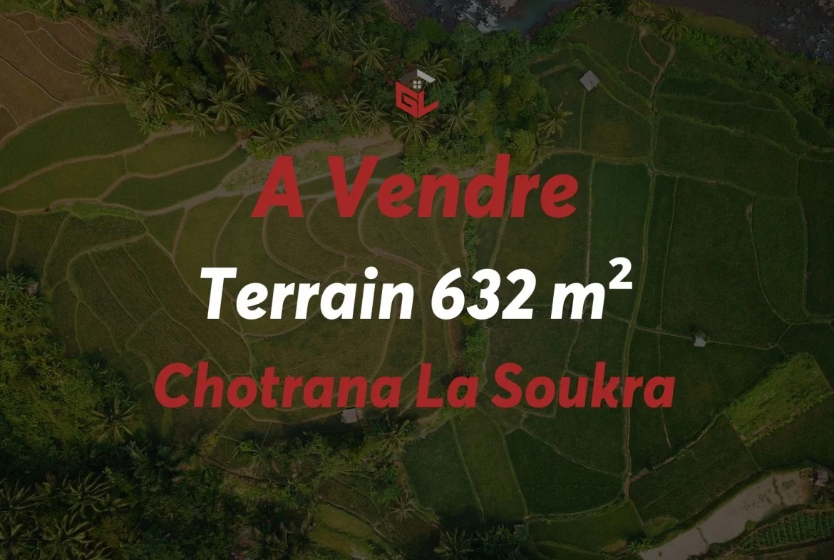 Terrain Terrain nu