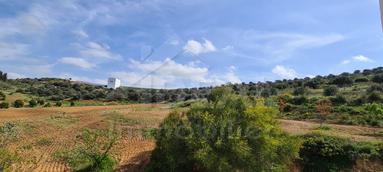 Terrain Terrain agricole