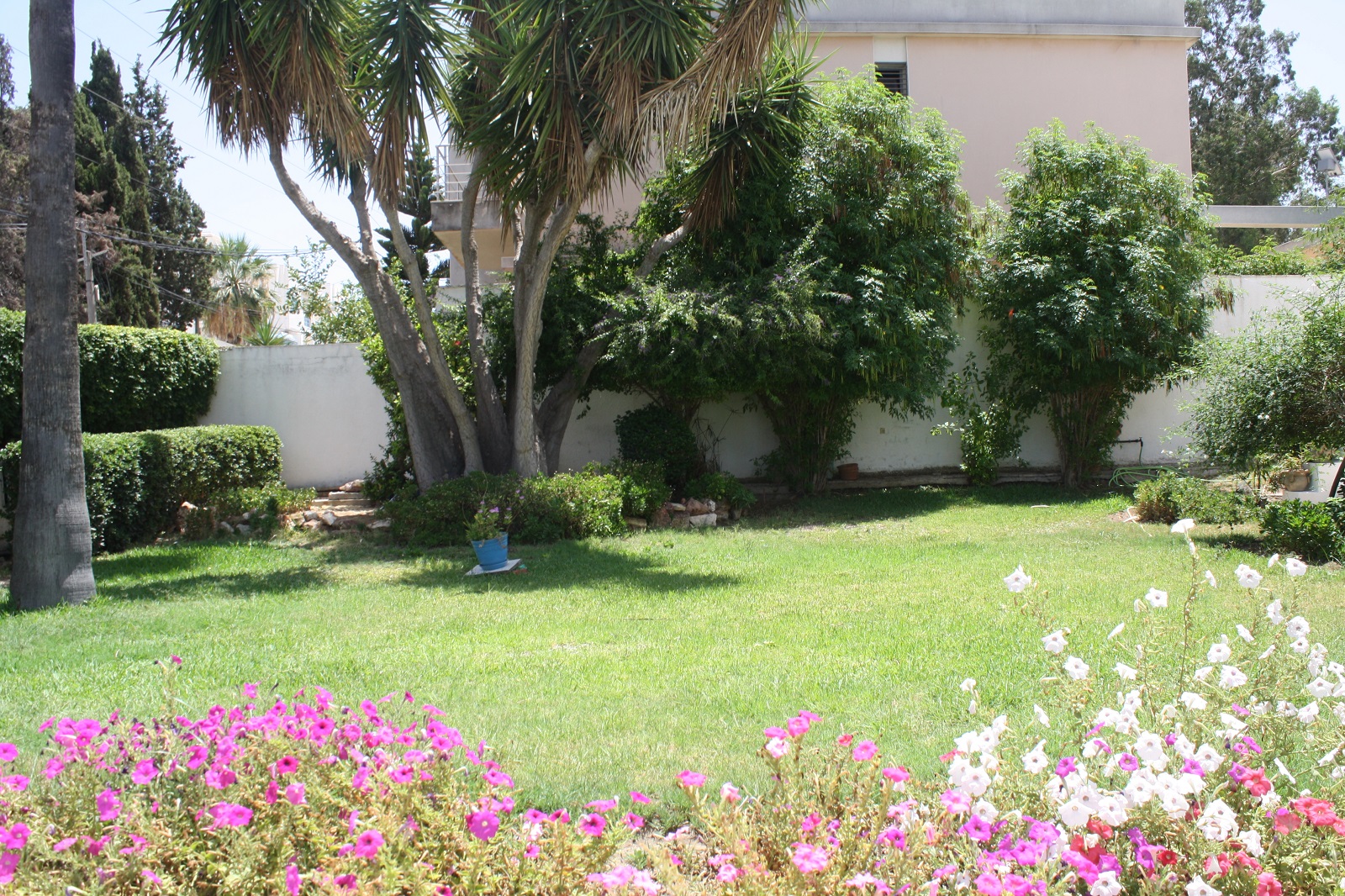 Vente Maisons