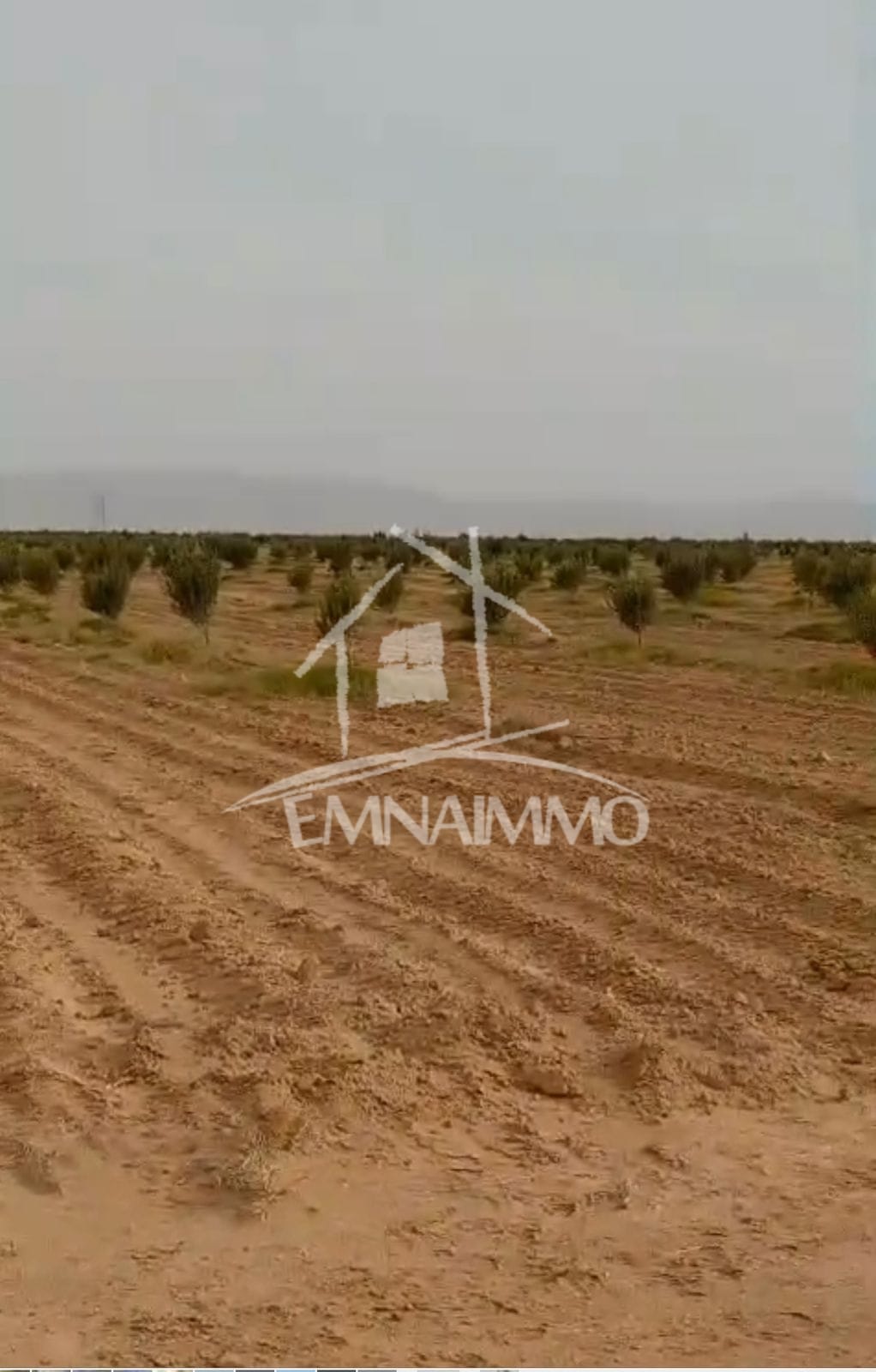 Terrain Terrain agricole