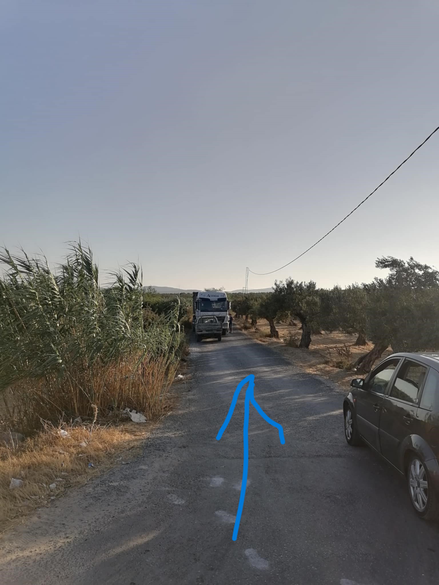 Nabeul&nbsp;Henchir El Haouaria&nbsp;Terrain&nbsp;Terrain agricole&nbsp;Terrain agricole