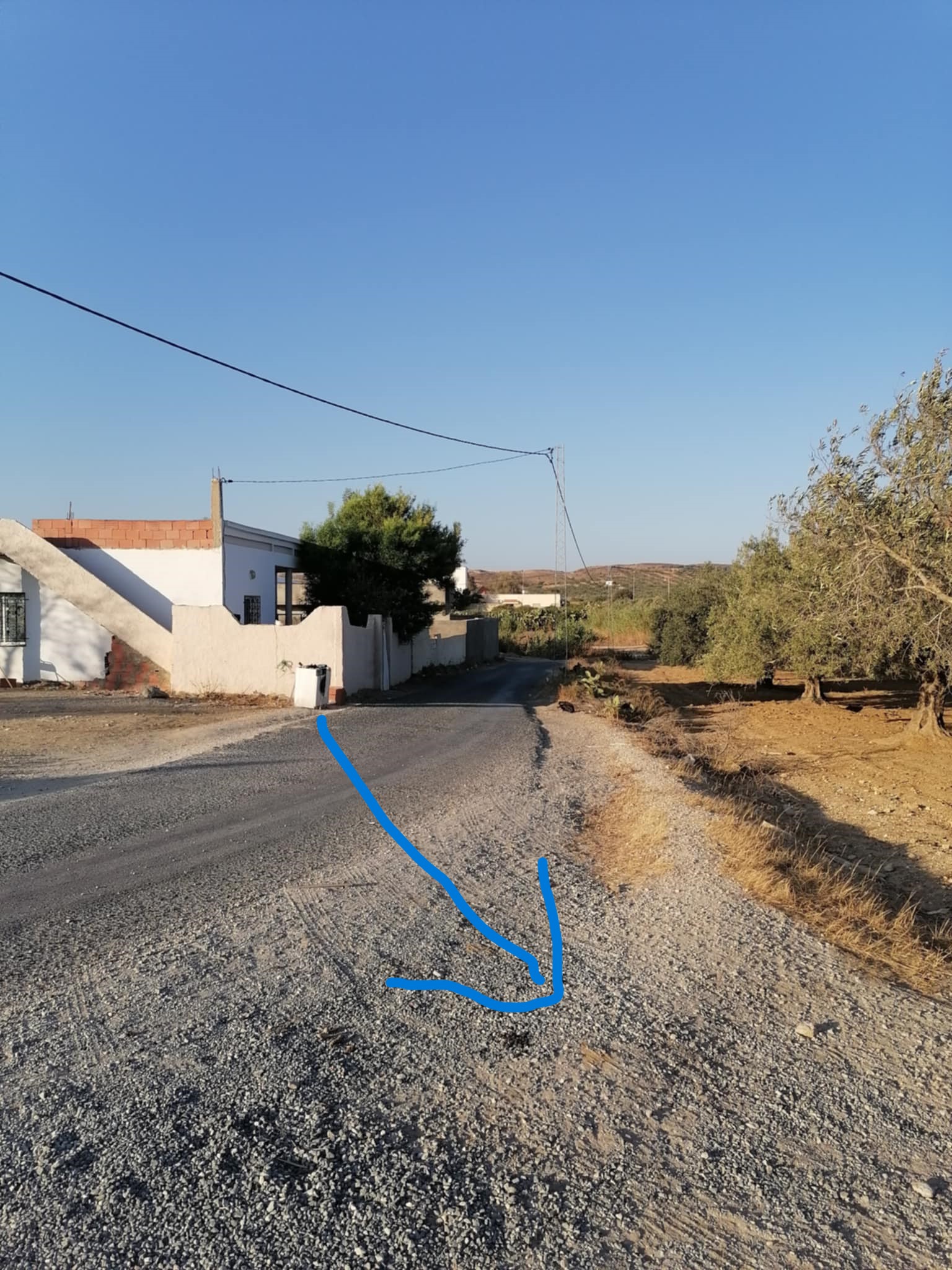 Nabeul&nbsp;Henchir El Haouaria&nbsp;Terrain&nbsp;Terrain agricole&nbsp;Terrain agricole