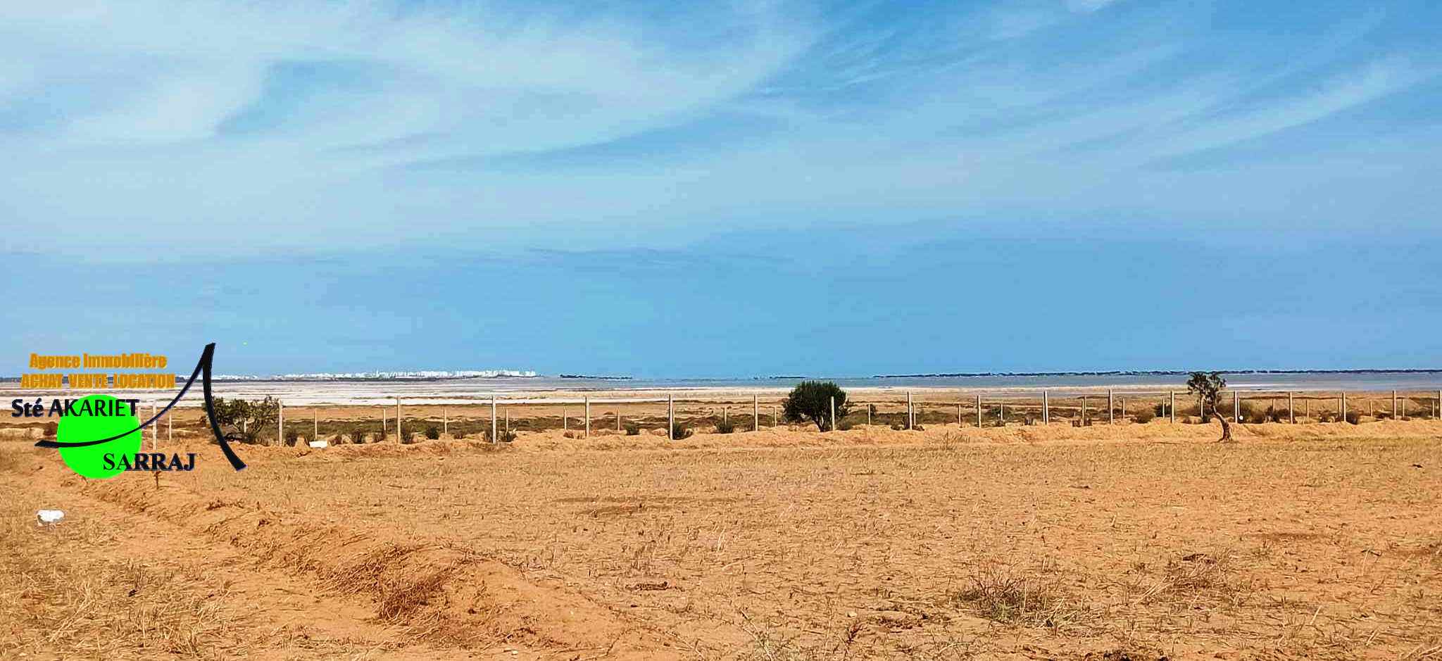 Terrain Terrain agricole