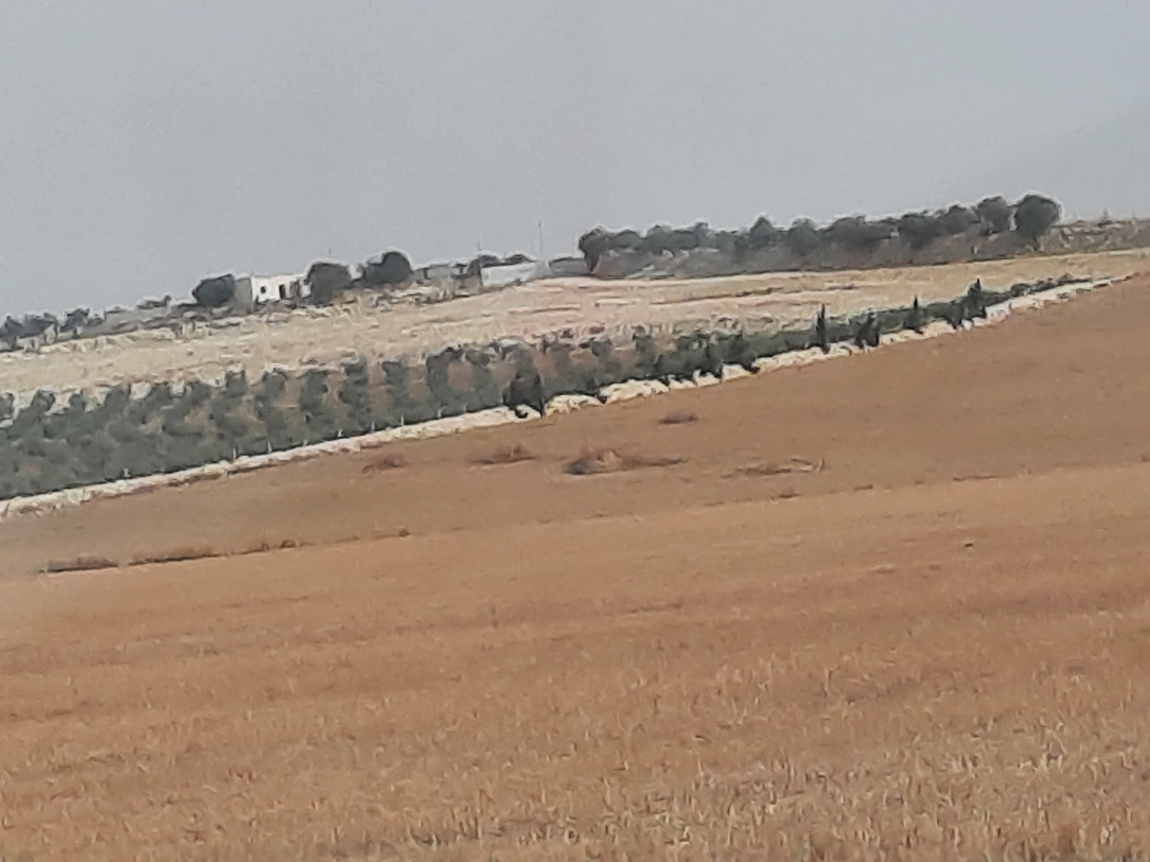 Terrain Terrain agricole