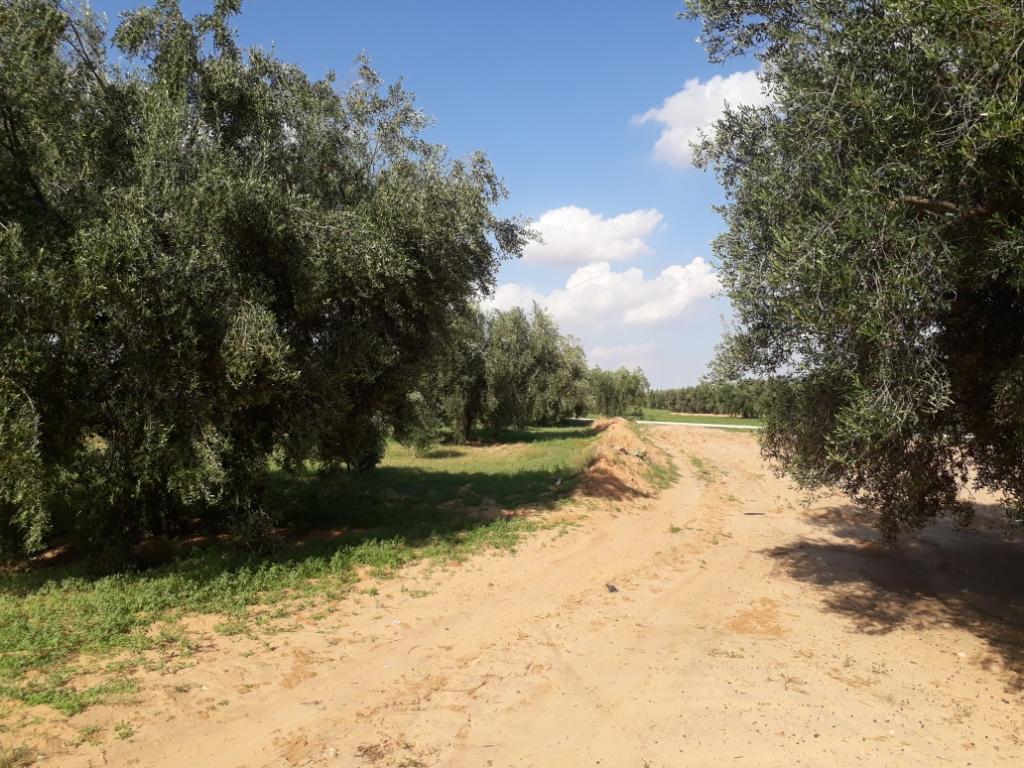 Terrain Terrain agricole