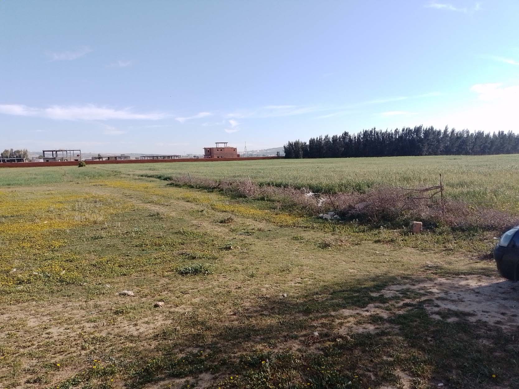 Terrain Terrain nu