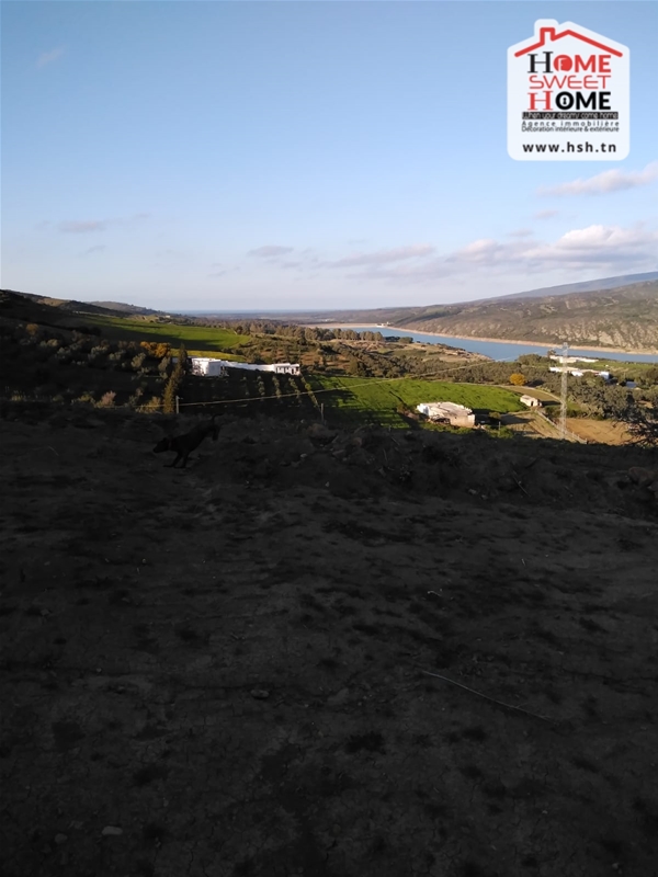 Terrain Terrain agricole