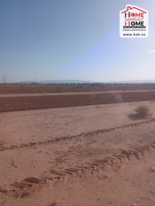 Terrain Terrain agricole