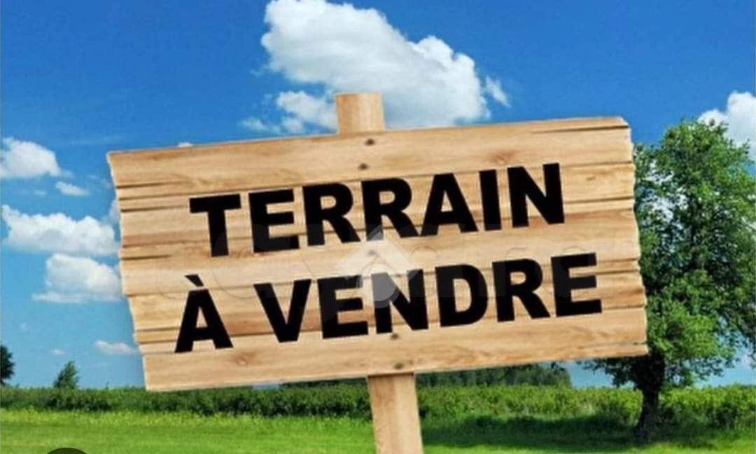Terrain Terrain nu