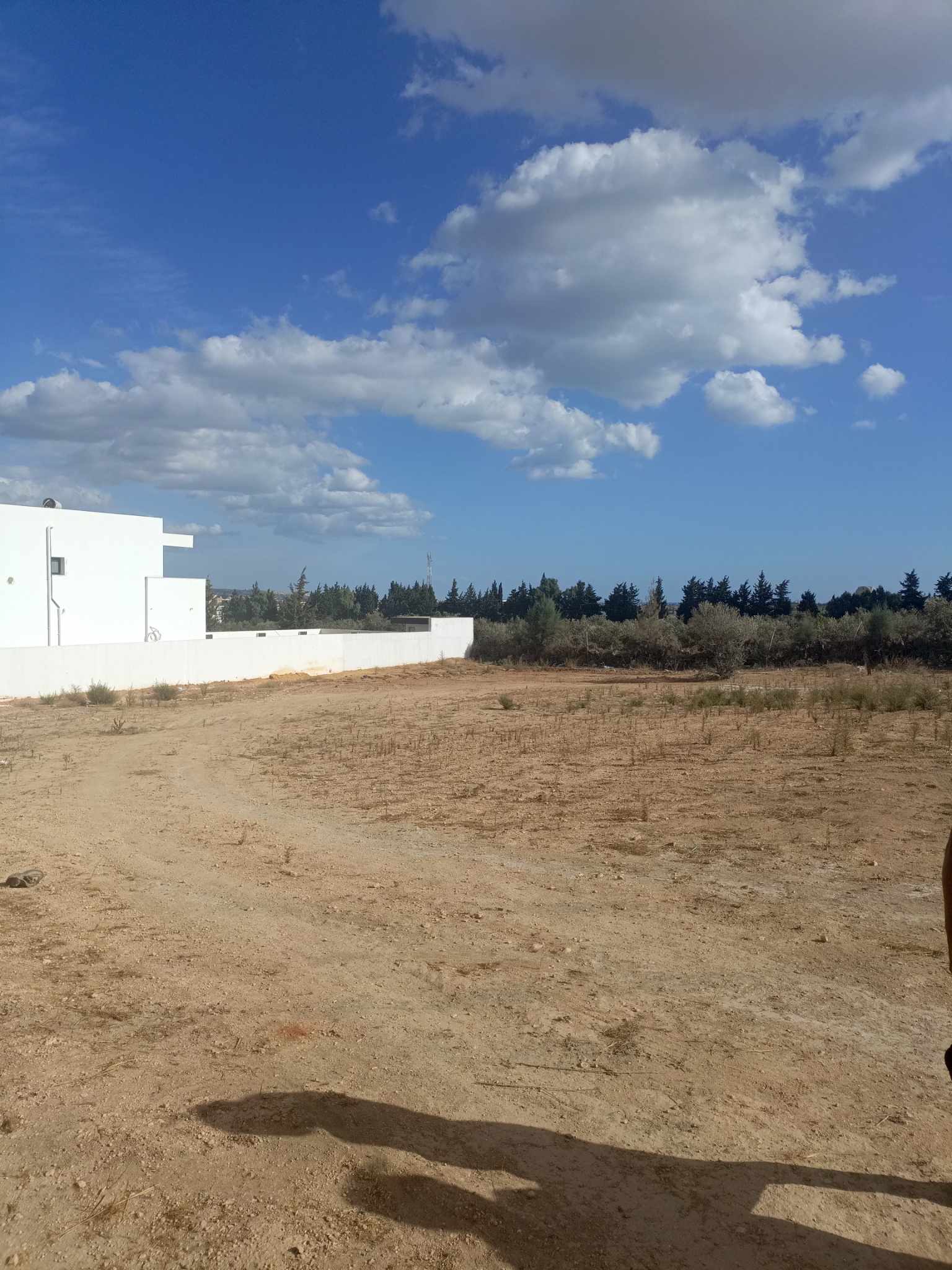 Terrain&nbsp;Terrain nu