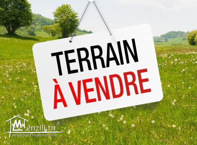 Terrain Terrain agricole
