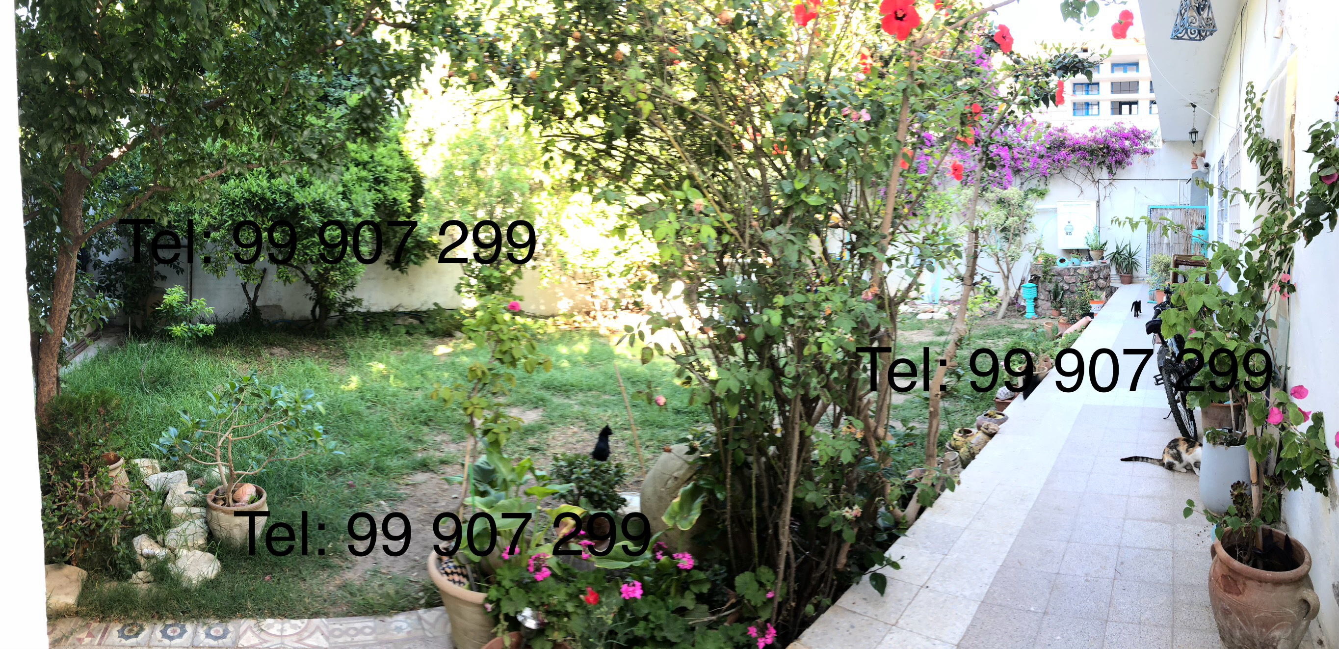 Location Appart. 5 pices+