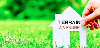 Terrain Terrain nu