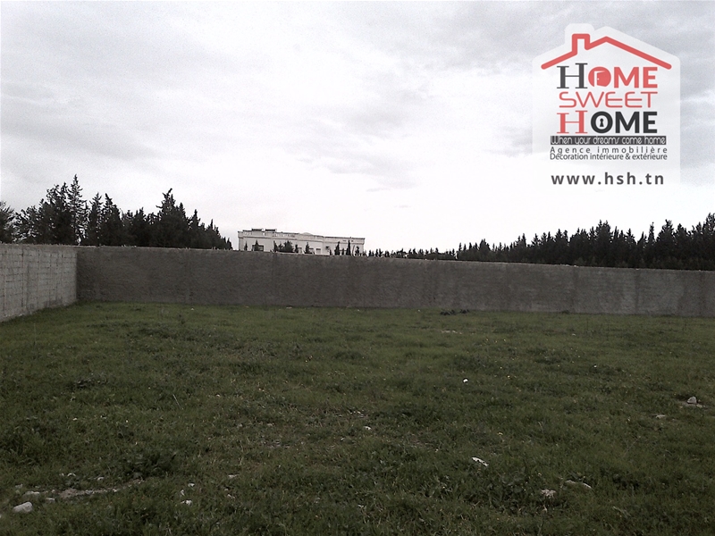 Mornag&nbsp;Mornag&nbsp;Terrain&nbsp;Terrain agricole&nbsp;Terrain agricole messaidi � mornag