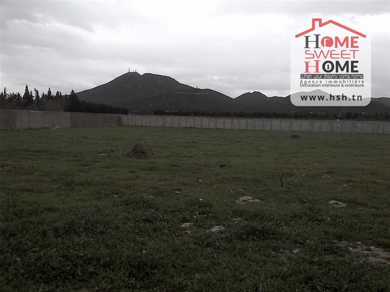 Mornag&nbsp;Mornag&nbsp;Terrain&nbsp;Terrain agricole&nbsp;Terrain agricole messaidi � mornag