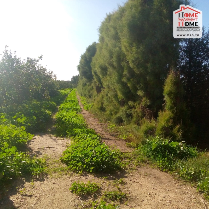 Terrain Terrain agricole