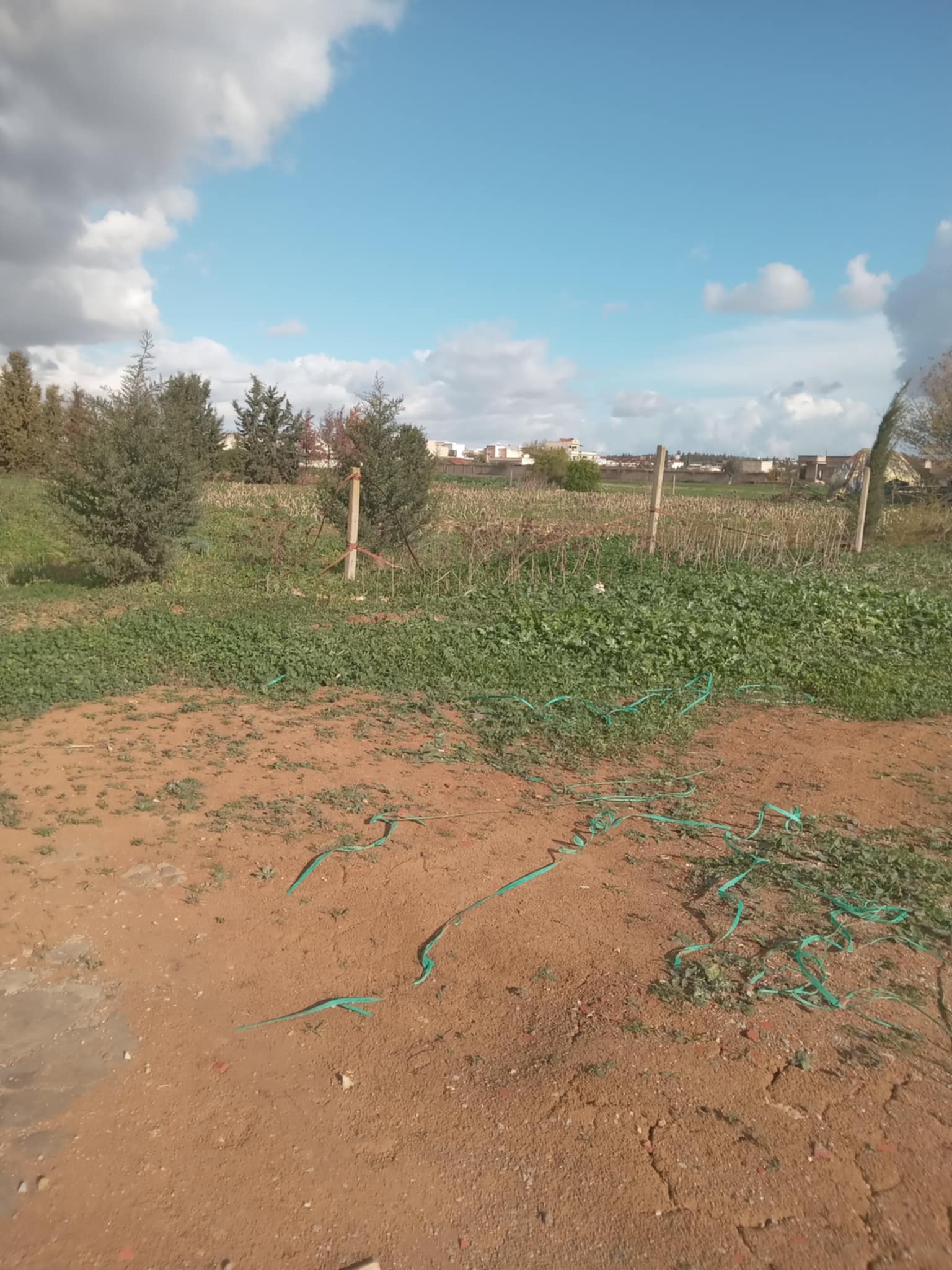 Terrain Terrain agricole