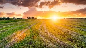Terrain Terrain agricole