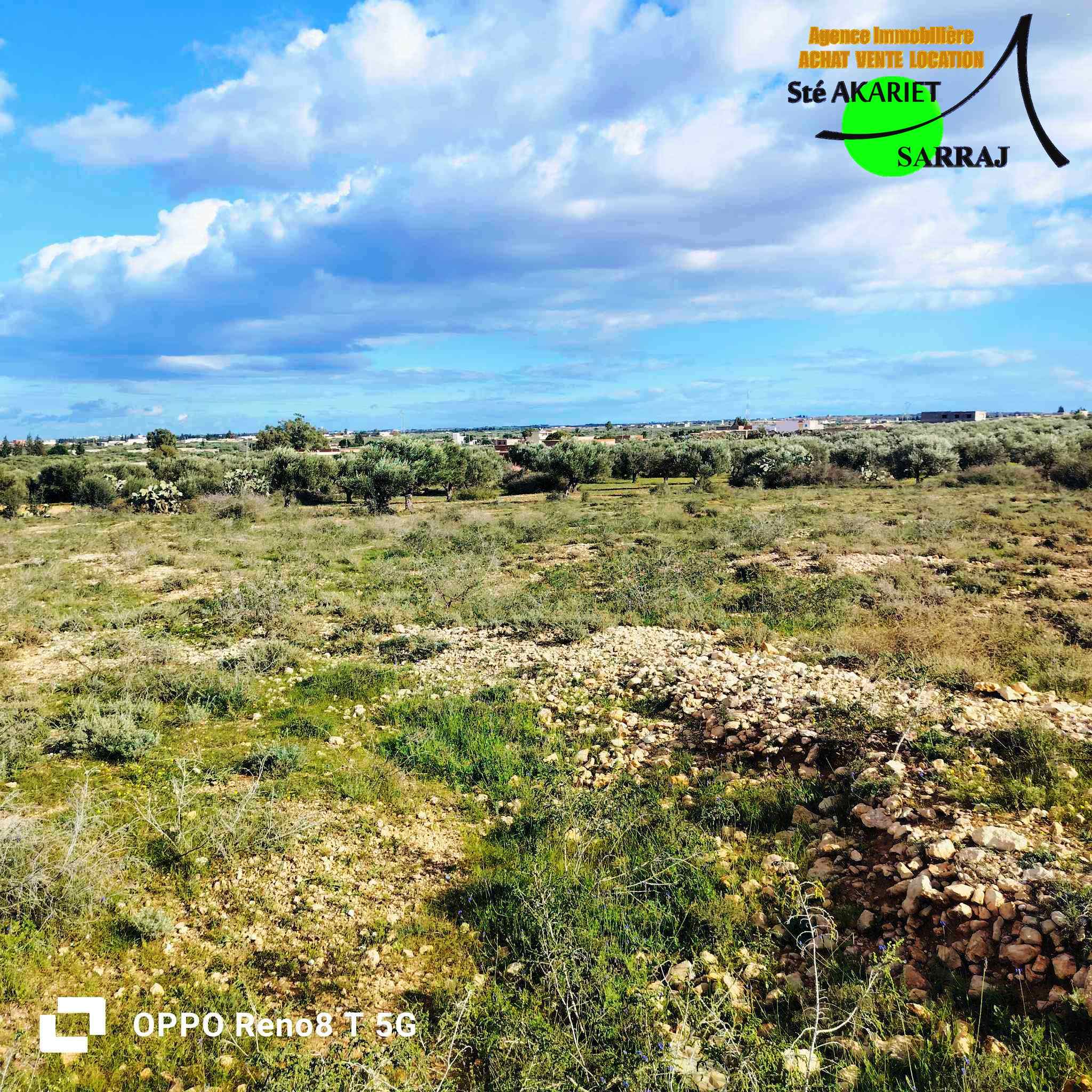 Terrain Terrain agricole