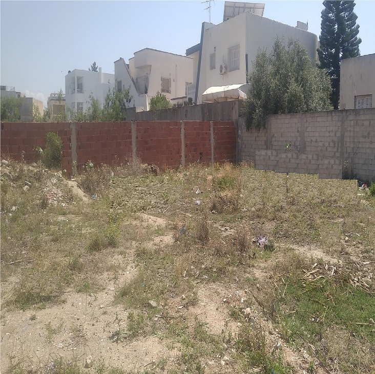 Raoued&nbsp;Cite El Ghazala 1&nbsp;Terrain&nbsp;Terrain nu&nbsp;Terrain nu zone r�sidentielle potentiel commercial