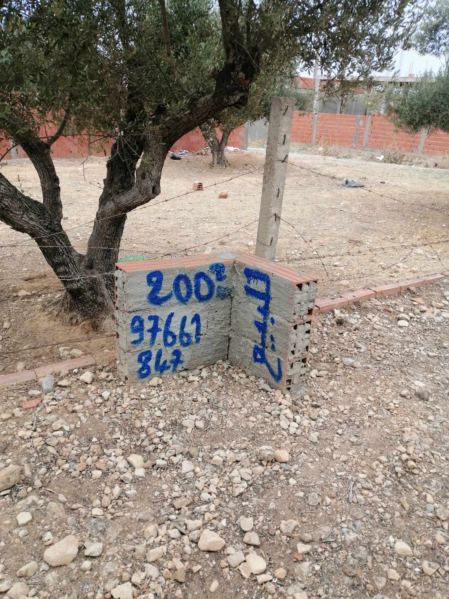 Oued Ellil Oued Ellil Terrain Terrain nu Terrain bonne ocasion