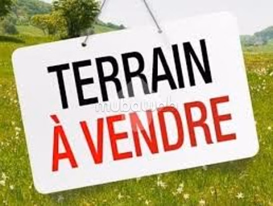 Terrain Terrain nu